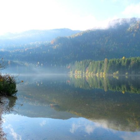 Ferienwohnung Neuper Bad Mitterndorf Εξωτερικό φωτογραφία